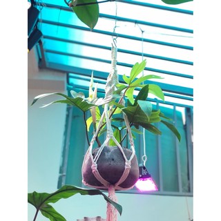 Dây treo chậu cây