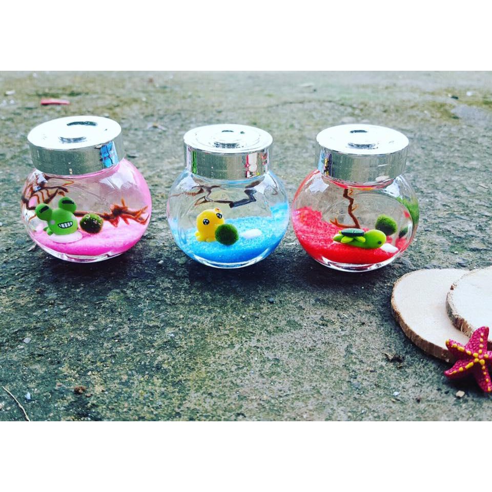 Combo 3 set marimo nhỏ siêu dễ thương