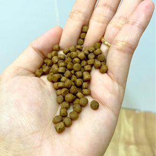 Thức ăn cho cá Cám cá Koi No1 1kg