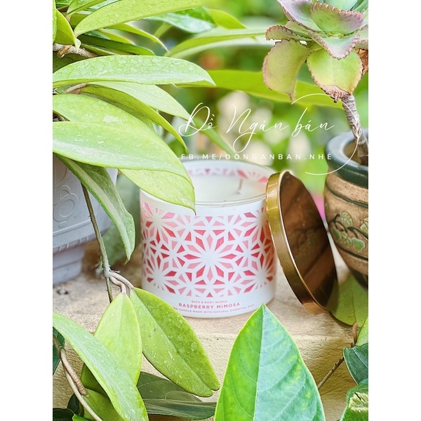 Nến thơm Raspberry Mimosa 3 bấc Bath & Body Works / White Barn