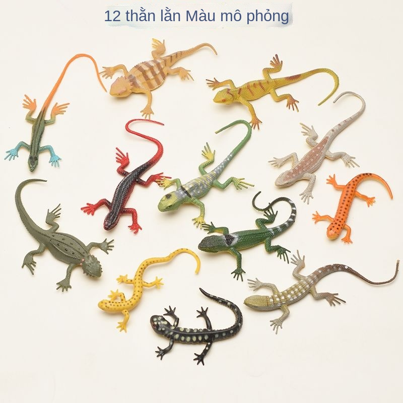 G12 mô hình phỏng loài bò sát mới thằn lằn mềm tắc kè hoa nhận thức đồ chơi trẻ em