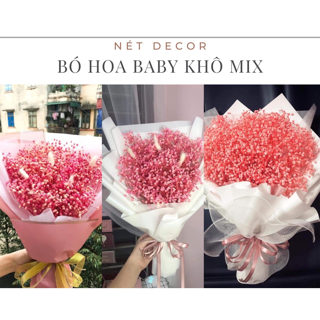 Bó hoa Baby khô quà tặng xinh xắn🍁 Bó hoa khô nhiều màu trang trí🍁
