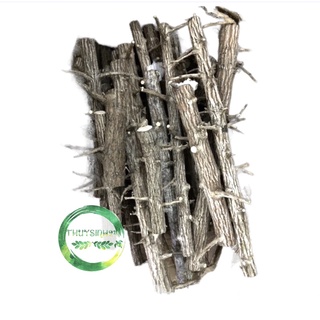 Lũa thạch sùng (không đặt chung với hàng khác) - lũa thuỷ sinh - bố cục rừng