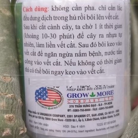 KEO LIỀN DA CÂY TREE SEAL, Keo Liền Sẹo Mỹ Morrisons