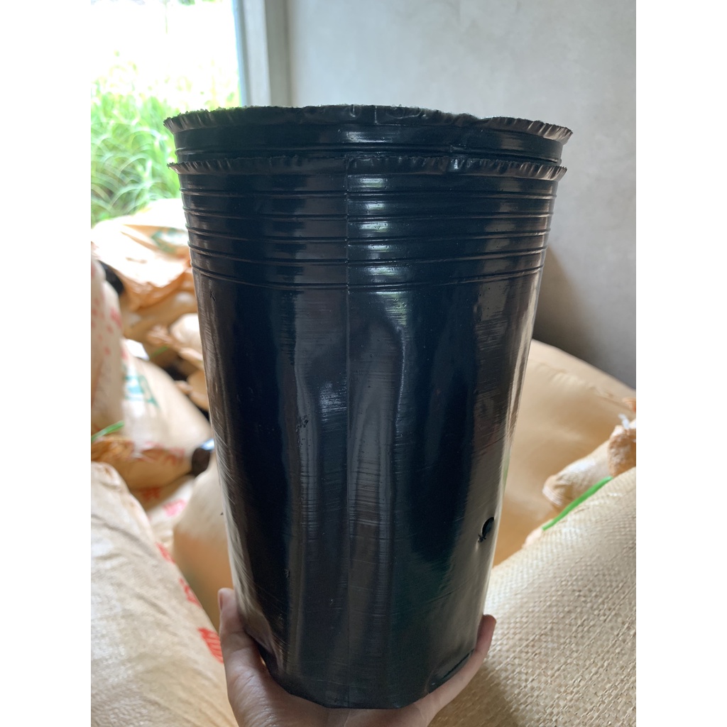 500G BẦU ƯƠM CÂY MÃ C17 (KEO LIỀN SẸO, DỊCH TRUYỀN CHO CÂY, KÍCH RỄ MẦM CÂY...)