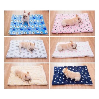 Thảm lót cho chó mèo 🐶🐶