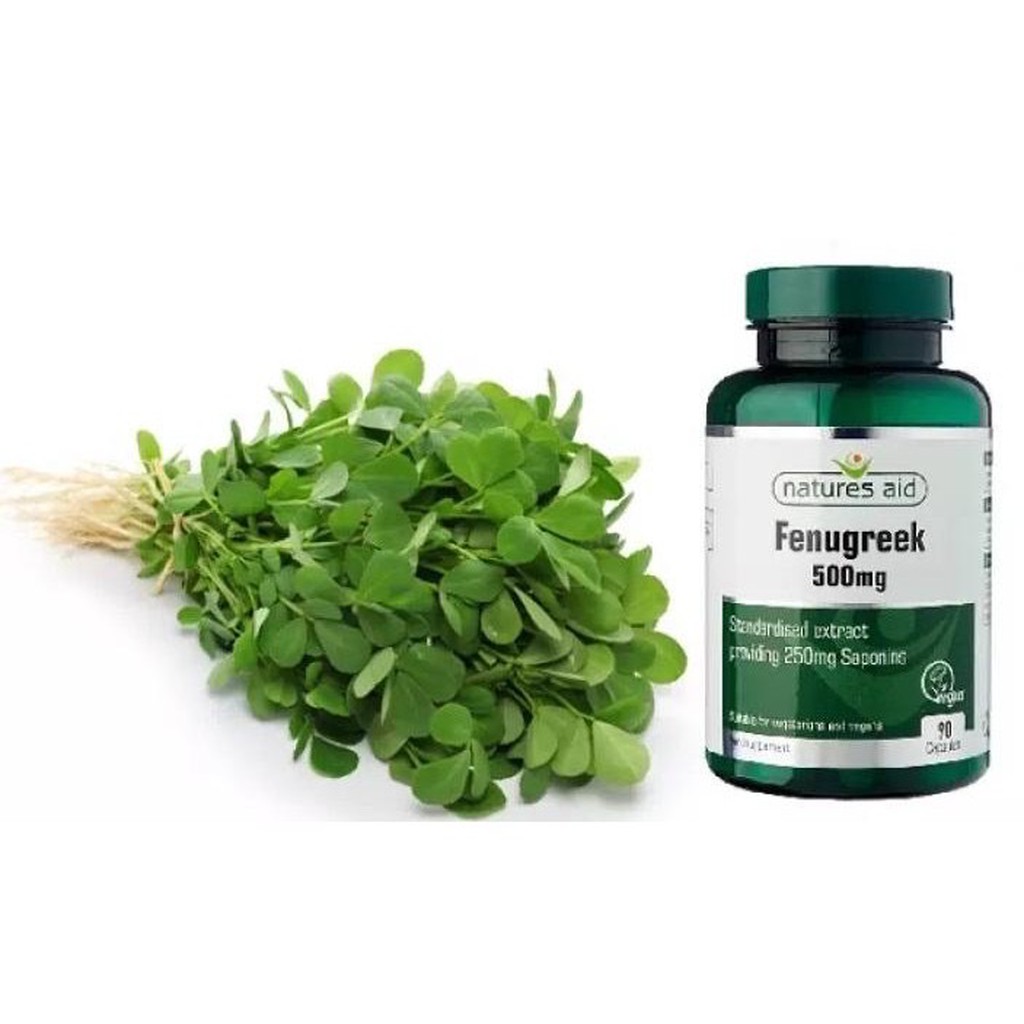 Viên uống lợi sữa Cỏ Cà ri Fenugreek 500mg