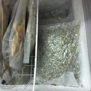 1kg Cá cơm sữa Phan Rang