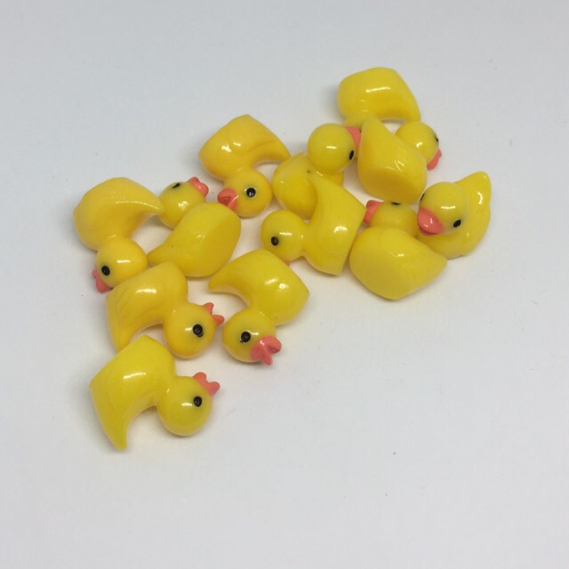 Charm vịt