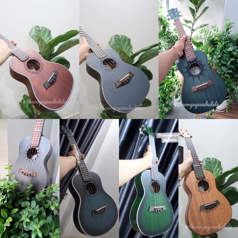 [Co San] Đàn ukulele Andrew concert nhiều mẫu mới 2024