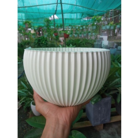CHẬU NHỰA TRỒNG CÂY GÂN SỌC MÀU TRẮNG KÈM MÓC TREO