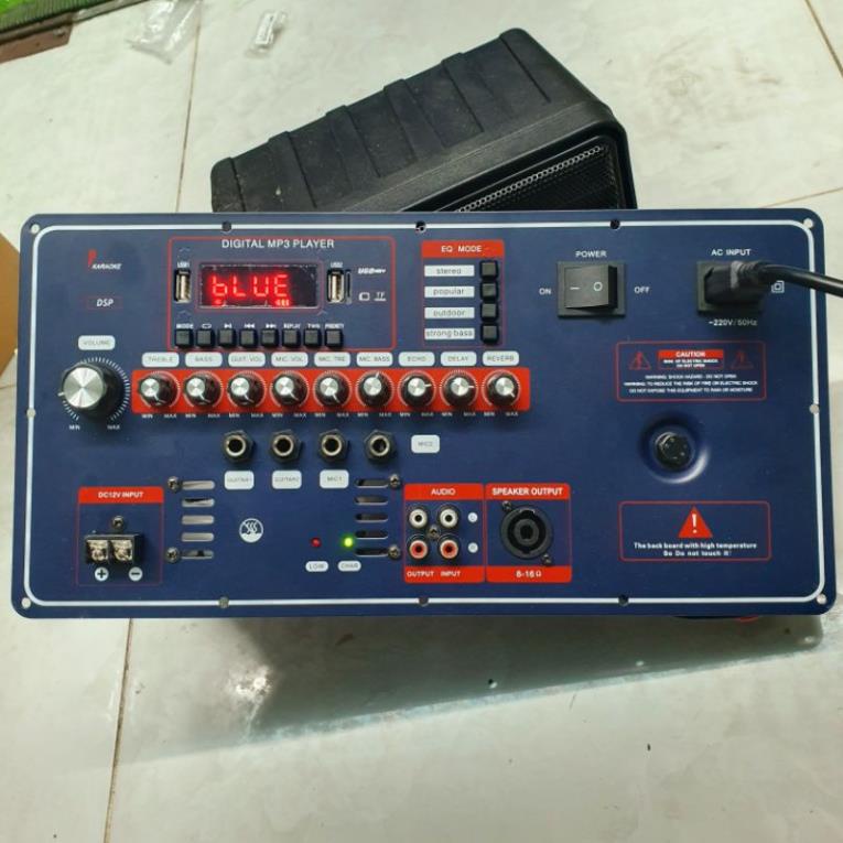 RE NHAT- Bo Mạch Loa Kéo DSP Stereo Echo Reverb Nguồn 36V Đôi 4 Tấc Đôi 5 Tấc Chống Hú Tốt Nhất Loa Kéo HOT
