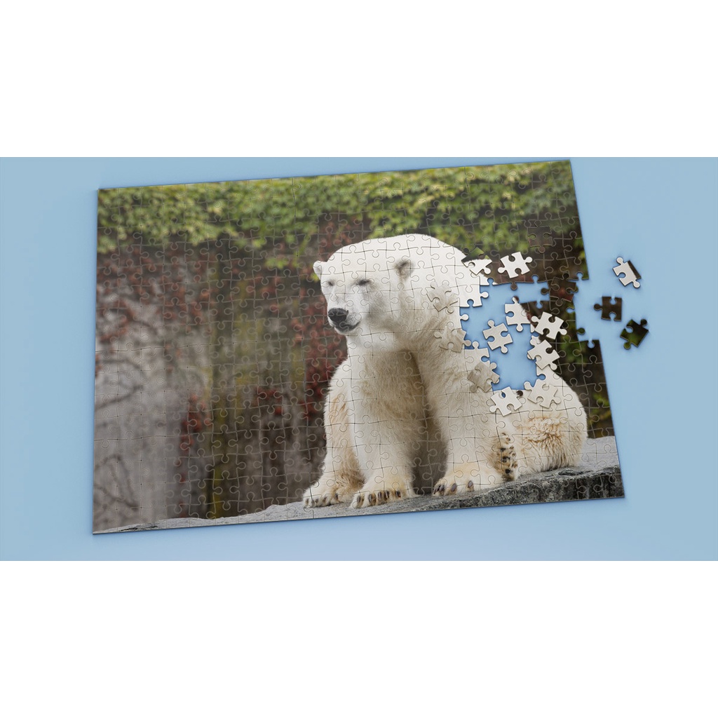 Tranh ghép hình Animal - Tranh ghép hình POLAR BEAR - Mẫu 11 - Nhận in hình tranh ghép theo yêu cầu