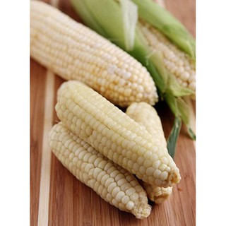Hạt Giống Ngô Nếp