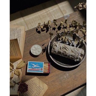 BÓ XÔ THƠM TRẮNG-THANH TẨY (WHITE SAGE)