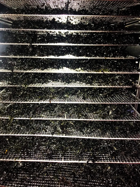 [Mã 156FMCGSALE hoàn 8% đơn 500K] 5KG RONG BIỂN CHÁY TỎI🌶 | BigBuy360 - bigbuy360.vn