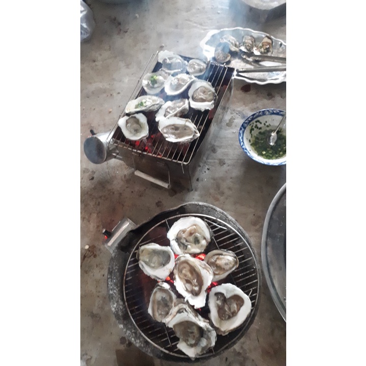 Than củi đước nấu nướng lâu tàn nhiệt cao thùng 5kg