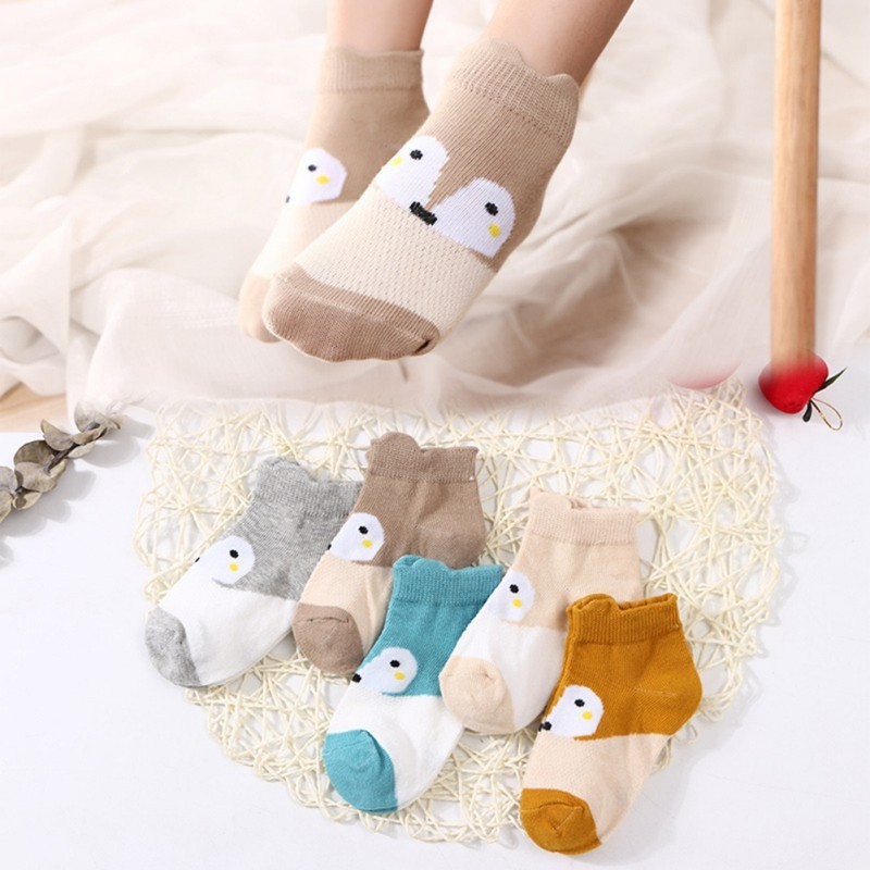 Bộ 5 đôi tất cotton cho bé