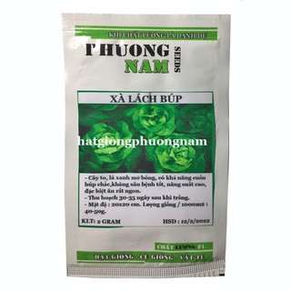 2GR - hạt giống xà lách búp mỡ ( xà lách đăm )