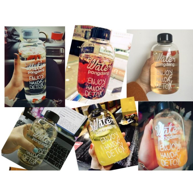 THỦY TINH - BÌNH PONGDANG 500ML + TÚI+ CỌ