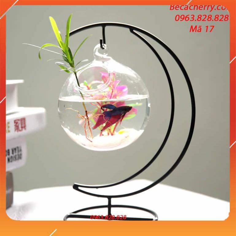 Bể cá mini cung trăng 17 ( tặng kèm phụ kiện trang trí ) | BigBuy360 - bigbuy360.vn
