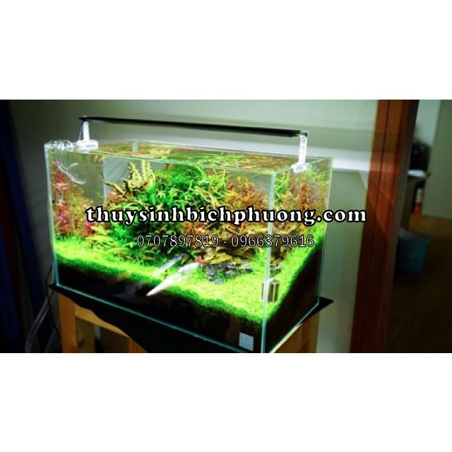 ĐÈN LED CHIHIROS A2 VERSION AII - CHUYÊN TRỒNG CÂY THỦY SINH