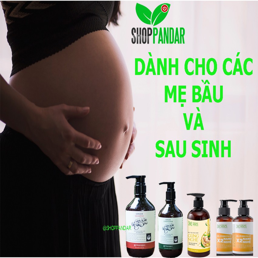 [CHO MẸ BẦU] Dầu gội, xả gừng và sữa tắm gừng nghệ và dung dịch vệ sinh phụ nữ cho các mẹ bầu và sau sinh, PANDAR