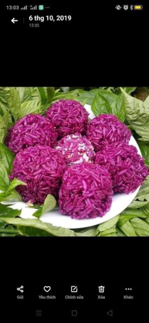 Cây cẩm tím. Cẩm đỏ