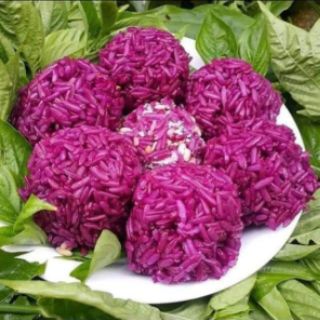 combo 2 Cây cẩm tím. Cẩm đỏ
