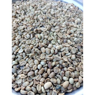1 kg Cà Phê Nhân Xanh robusta (hạt chưa rang)