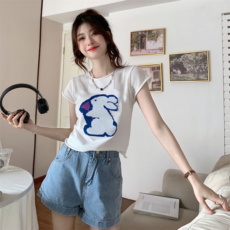 Áo thun ZHELIHANGFEI dệt kim ngắn tay thêu họa tiết xinh xắn thời trang