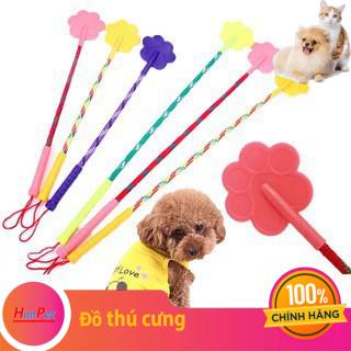 Roi huấn luyện thú cưng biết nghe lời tét đít chó mèo