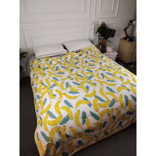 2 chăn zara dương xỉ