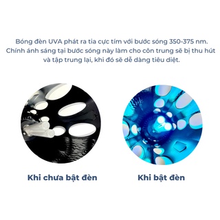 Đèn bắt muỗi diệt côn trùng DS-DU8G