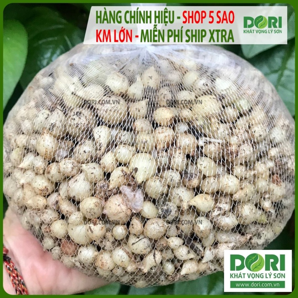 Củ nén hành tăm - Dori Thơm - 250g 500g 1kg - Gia vị Việt Nam