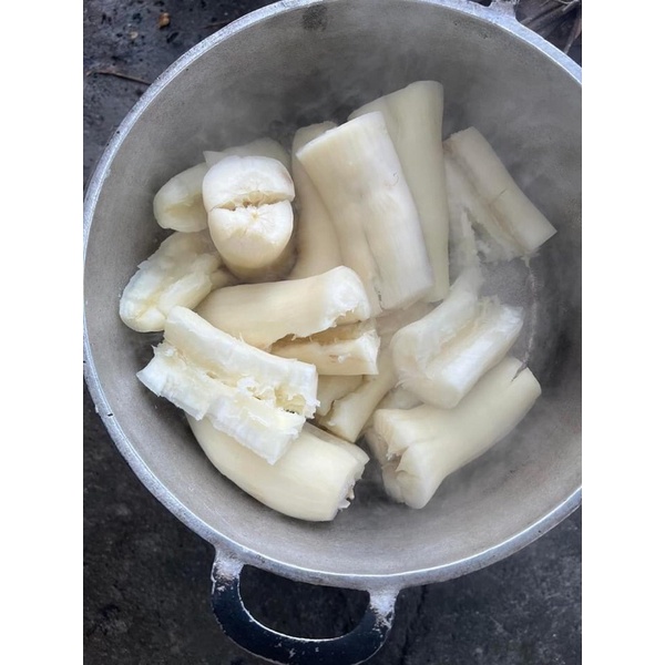 Củ sắn - khoai mì bở tơi, thơm ngon 1kg trồng trên nương điện biên