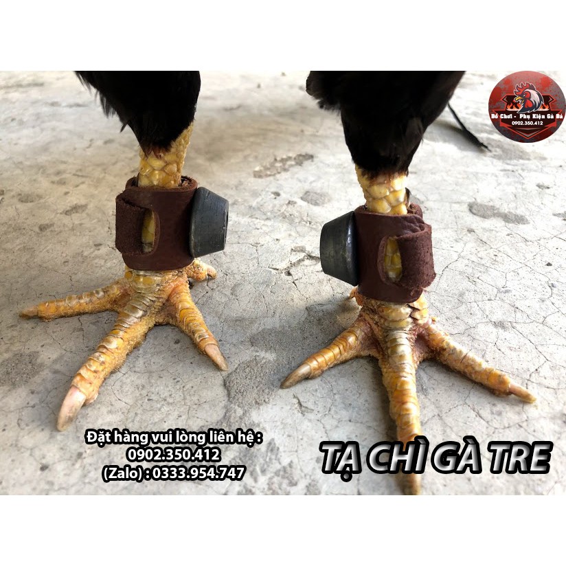 Tạ Chì Đeo Chân Bằng Da Cho Gà Đá - Bộ x 2 Cái
