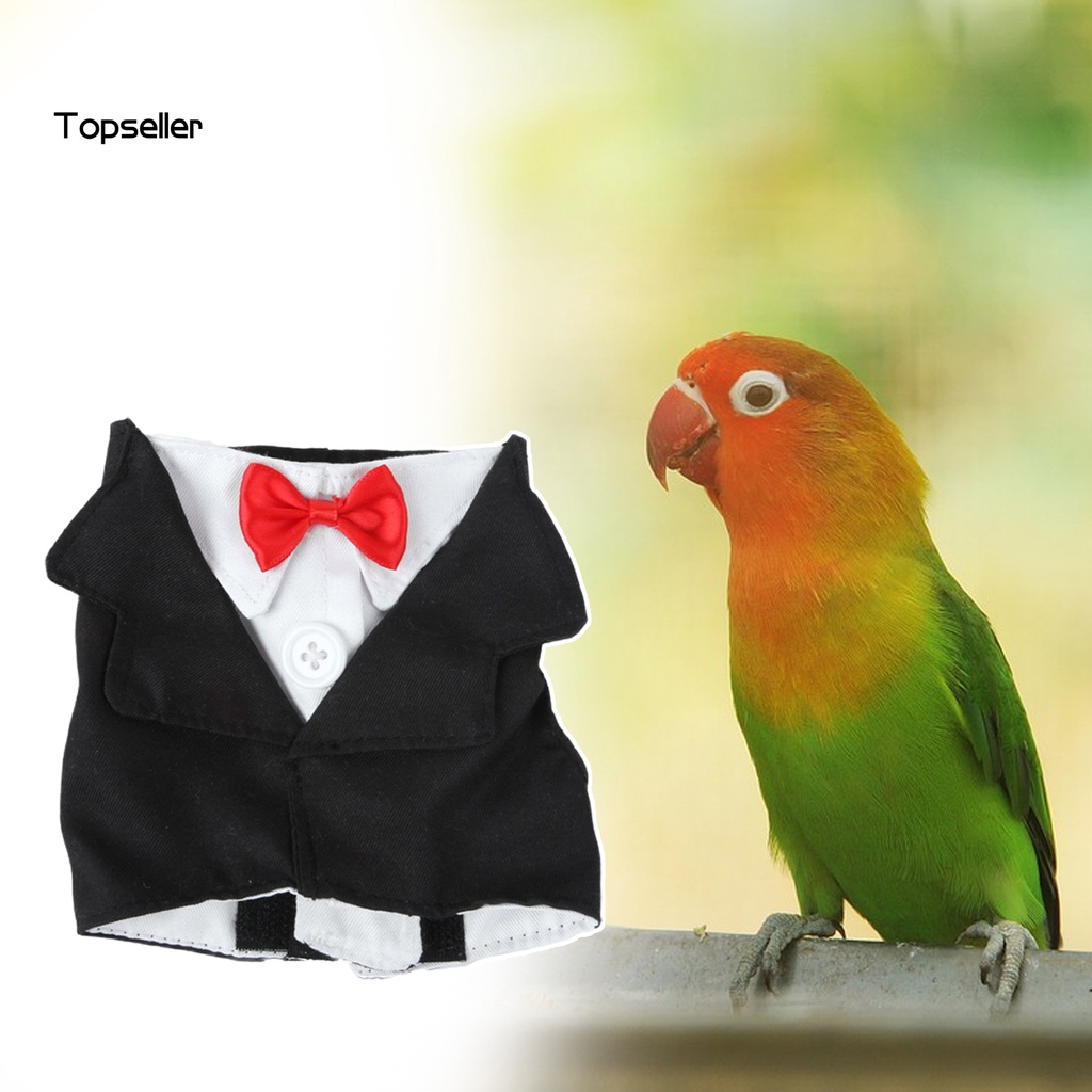 Áo Khoác Lông Vũ / Nơ Cổ Mini Dễ Thương Cho Chim Vẹt Chơi