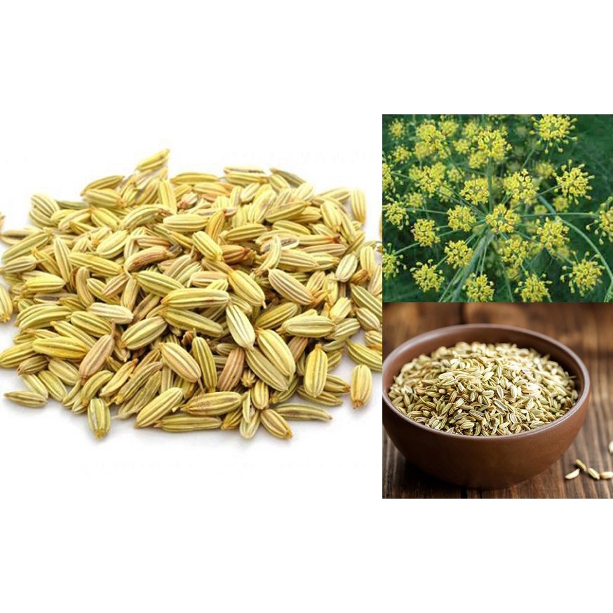 Tiểu Hồi Hương Hũ 20g TG FOODS