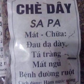 Chè dây Sapa