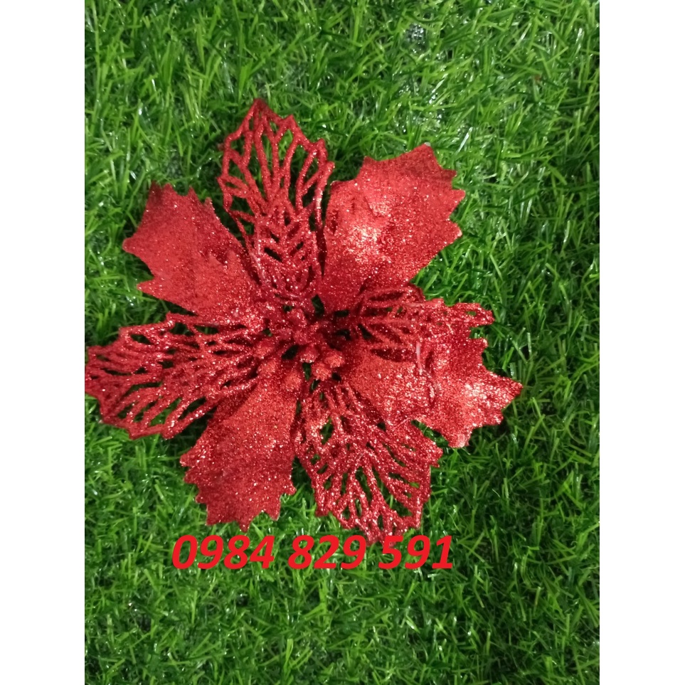 Hoa Trạng Nguyên Trang Trí Noel