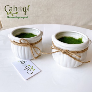 Giỏ Trồng Cây Giả Nhồi Xốp Phủ Cỏ Xanh