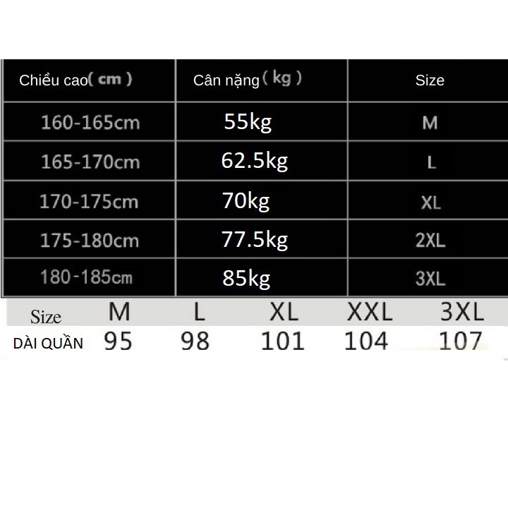 Quần dài Jogger thể thao AN204 LeXing (Không Áo) II Annerun Đồ Tập Gym Nam Nữ | BigBuy360 - bigbuy360.vn