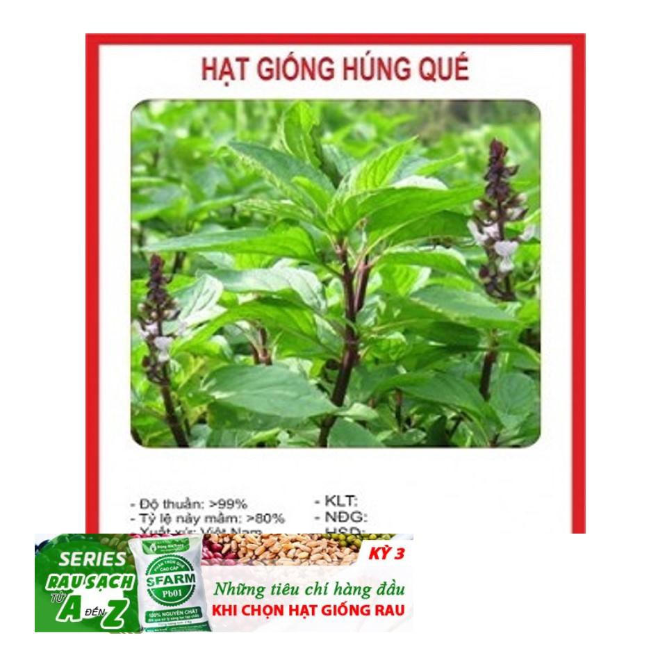 Gói 100 Hạt Giống Húng Quế (Ocimum basilicum