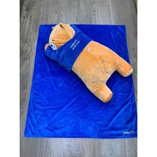 Bộ gối kèm chăn cho bé (quà sữa Similac)