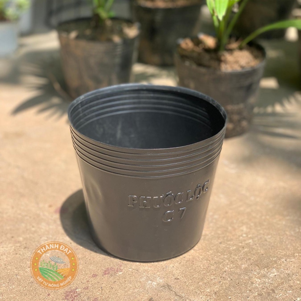 Bầu ươm cây cứng C7, chậu nhựa đen trồng cây, ươm cây hàng dày