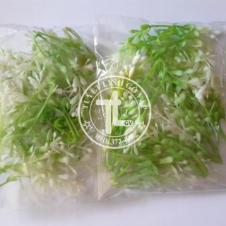 5 bịch hoa cỏ nhí trang trí  100k