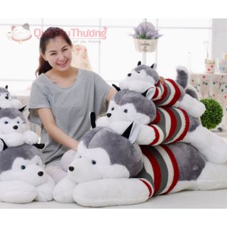 Chó husky nhồi bông cao cấp 70cm chó sói alaska áo len đẹp