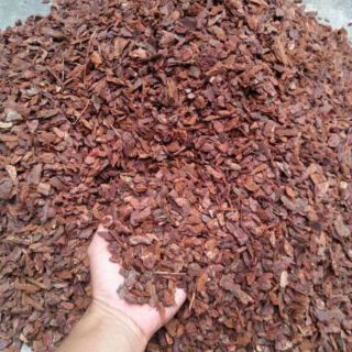 Vỏ thông vụn hạt đỗ 1kg đã xử lý