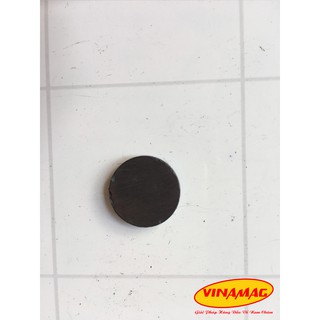 20x3mm nam châm Ferrite, nam châm đen